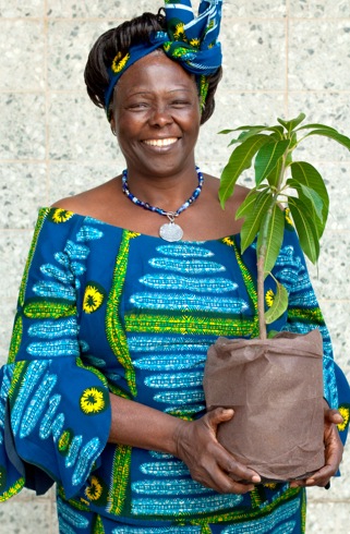 Photo of Dr. Wangari Maathai holding a baby tree