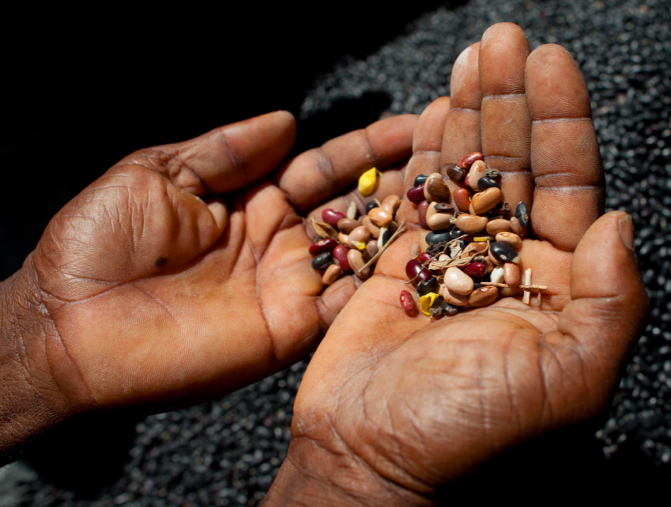 pic of man  holding seeds