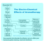 electro-effects-aromatherapy