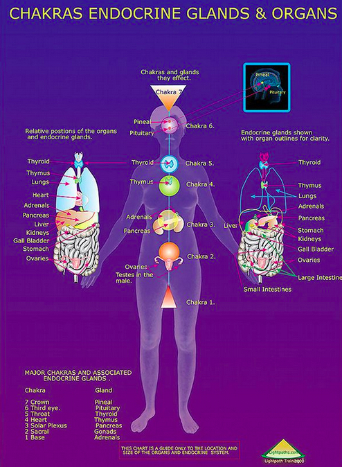 pic of chakrs and body organs