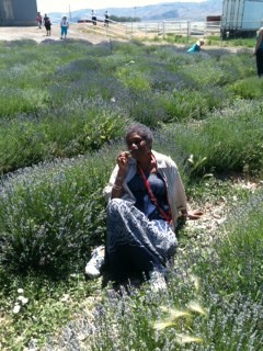 Photo of Niamo in lavender field, grounding