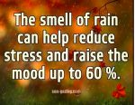 smell-of-rain-quote